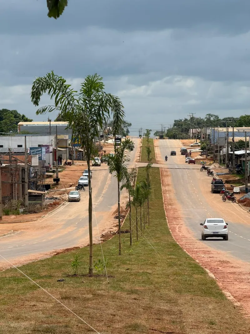 Imagem ilustrativa de Comprar grama esmeralda