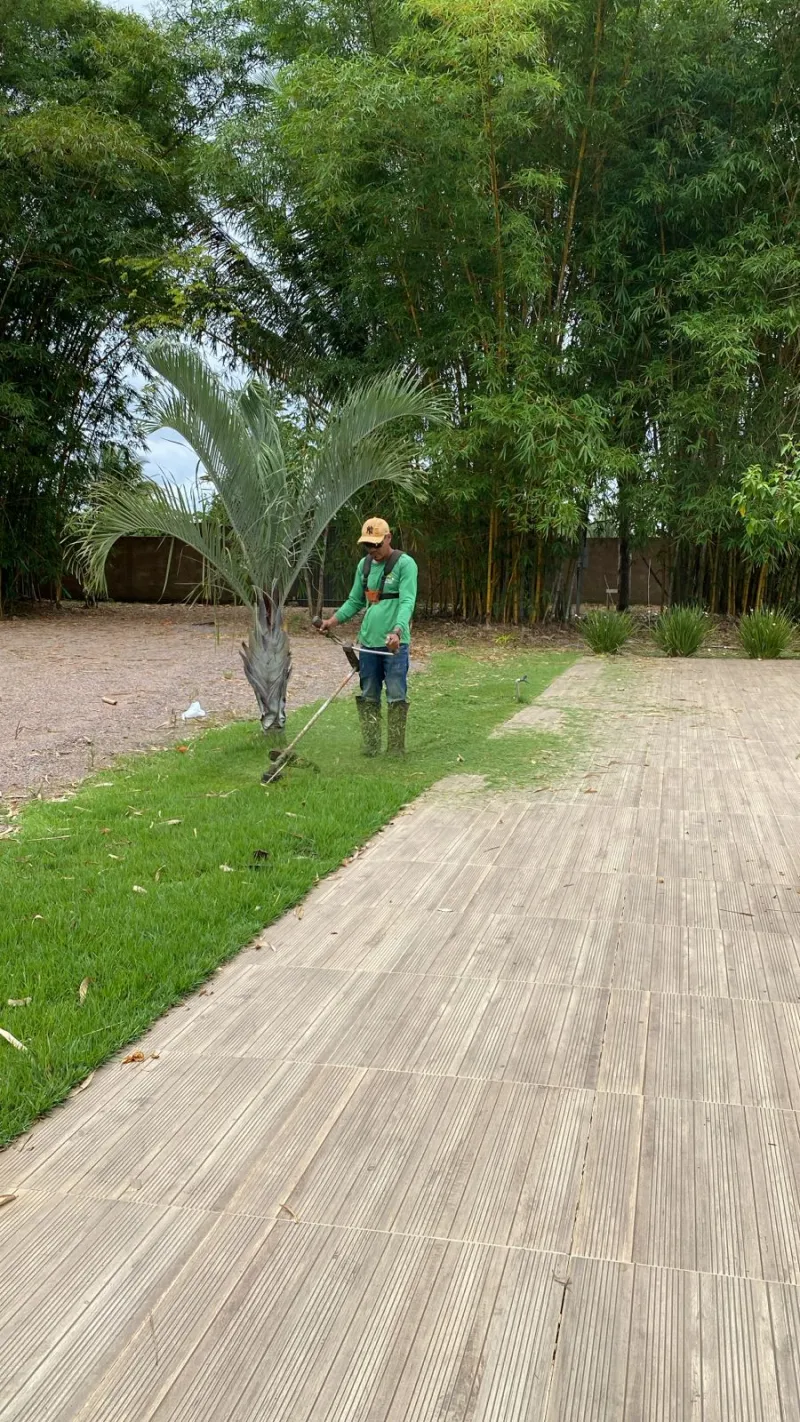 Imagem ilustrativa de Corte de grama