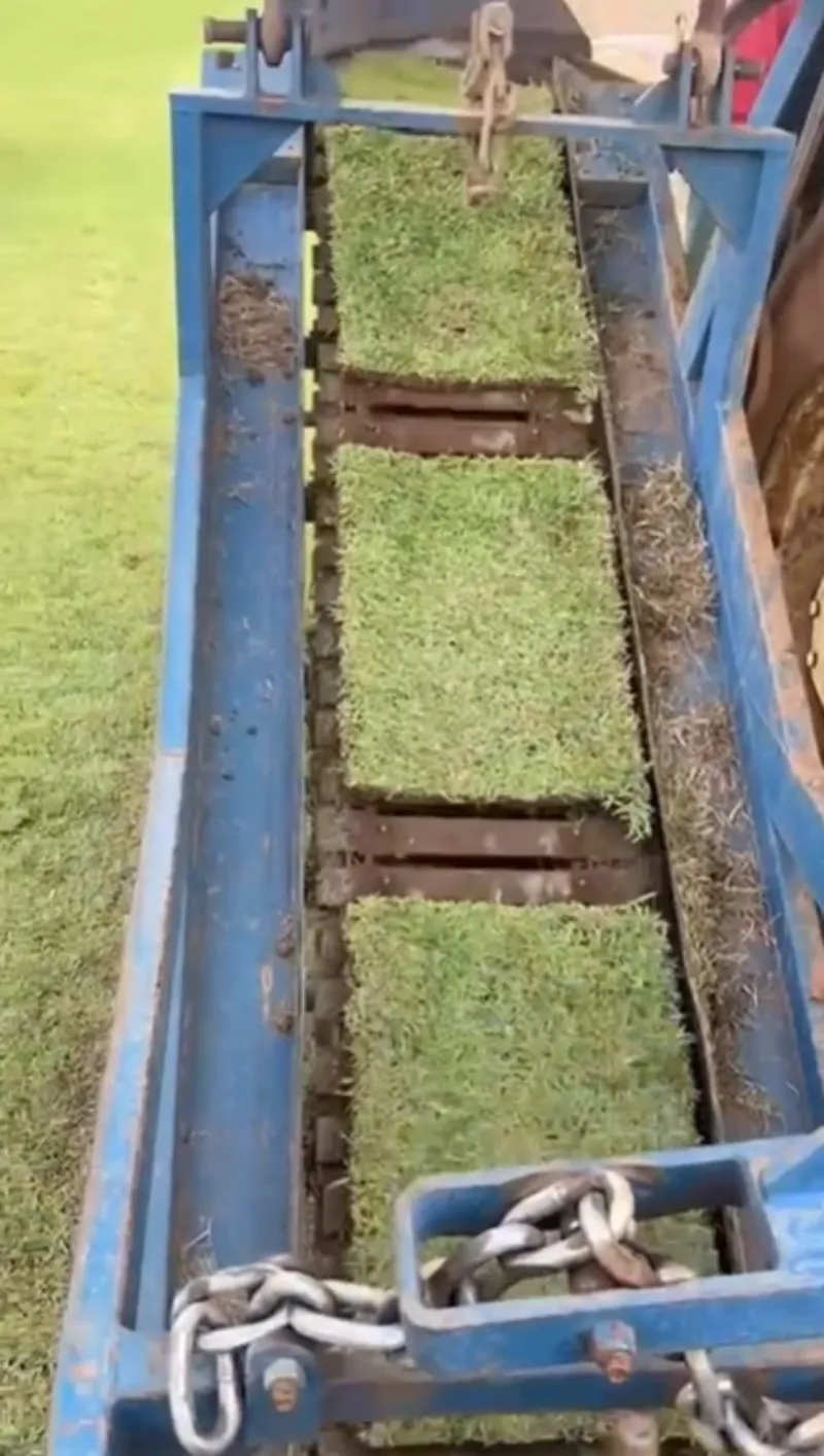 Corte de grama em Porto Velho