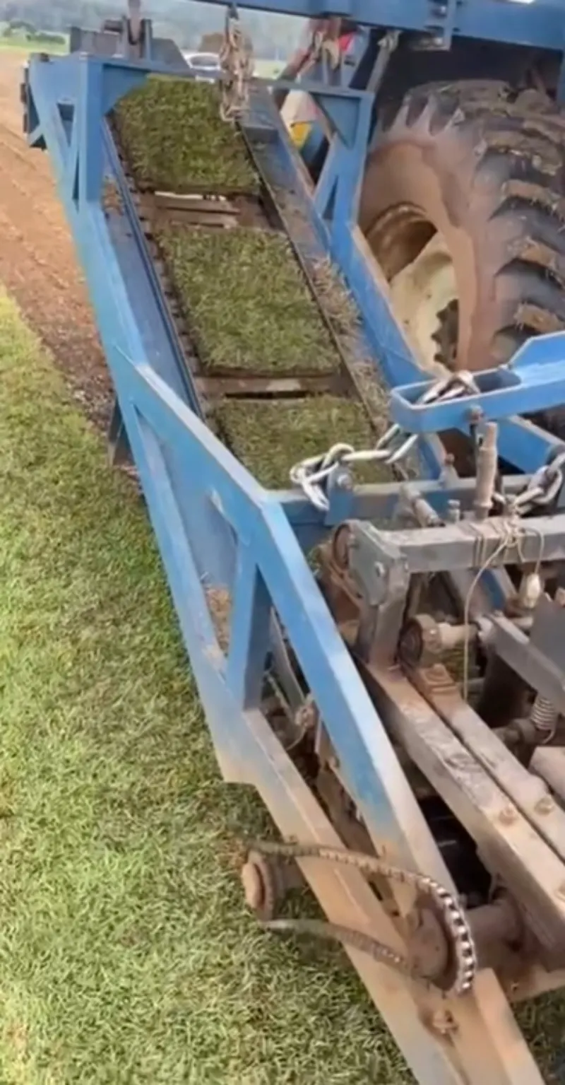 Corte de grama em Rondônia