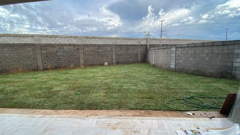 Grama esmeralda zoysia japonica