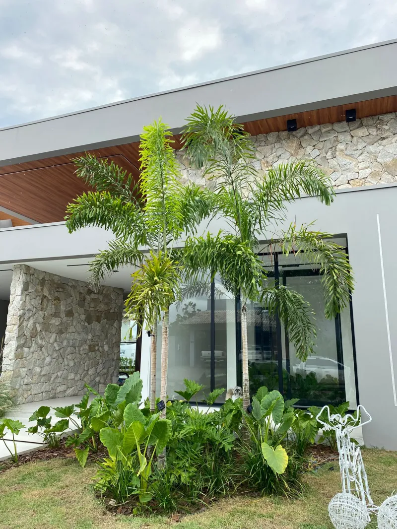 Jardinagem para área externa