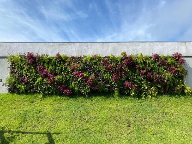 Paisagismo com grama esmeralda