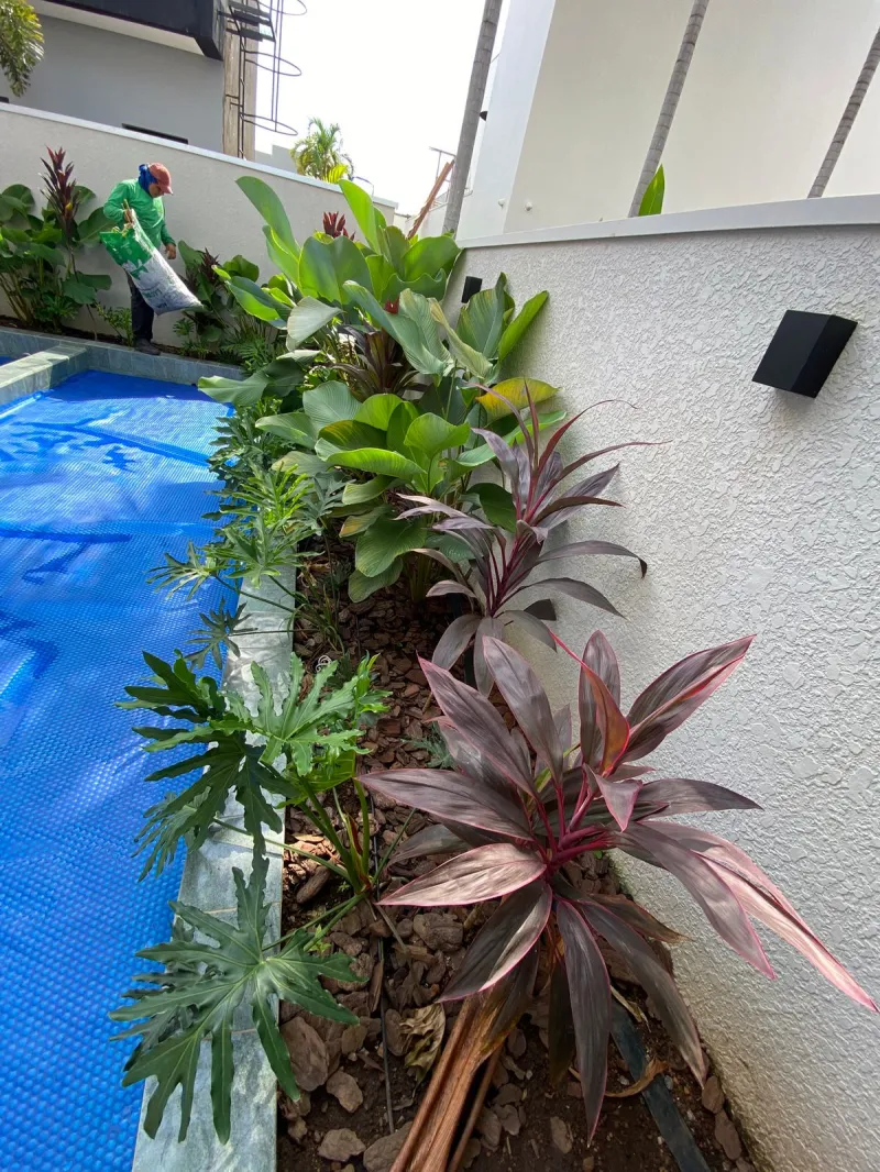 Paisagismo tropical em Porto Velho