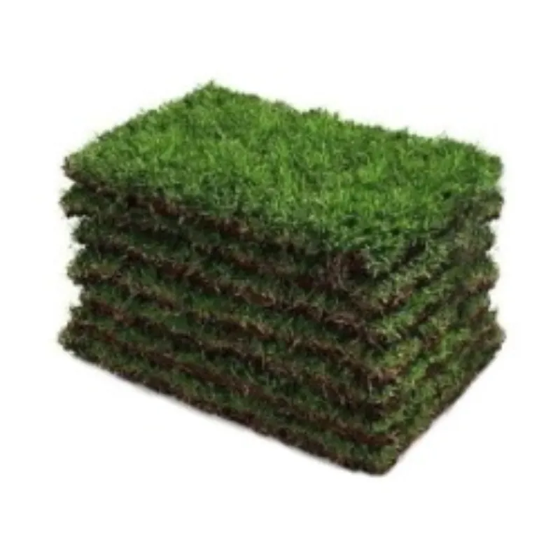 Tapete de grama esmeralda em Porto Velho