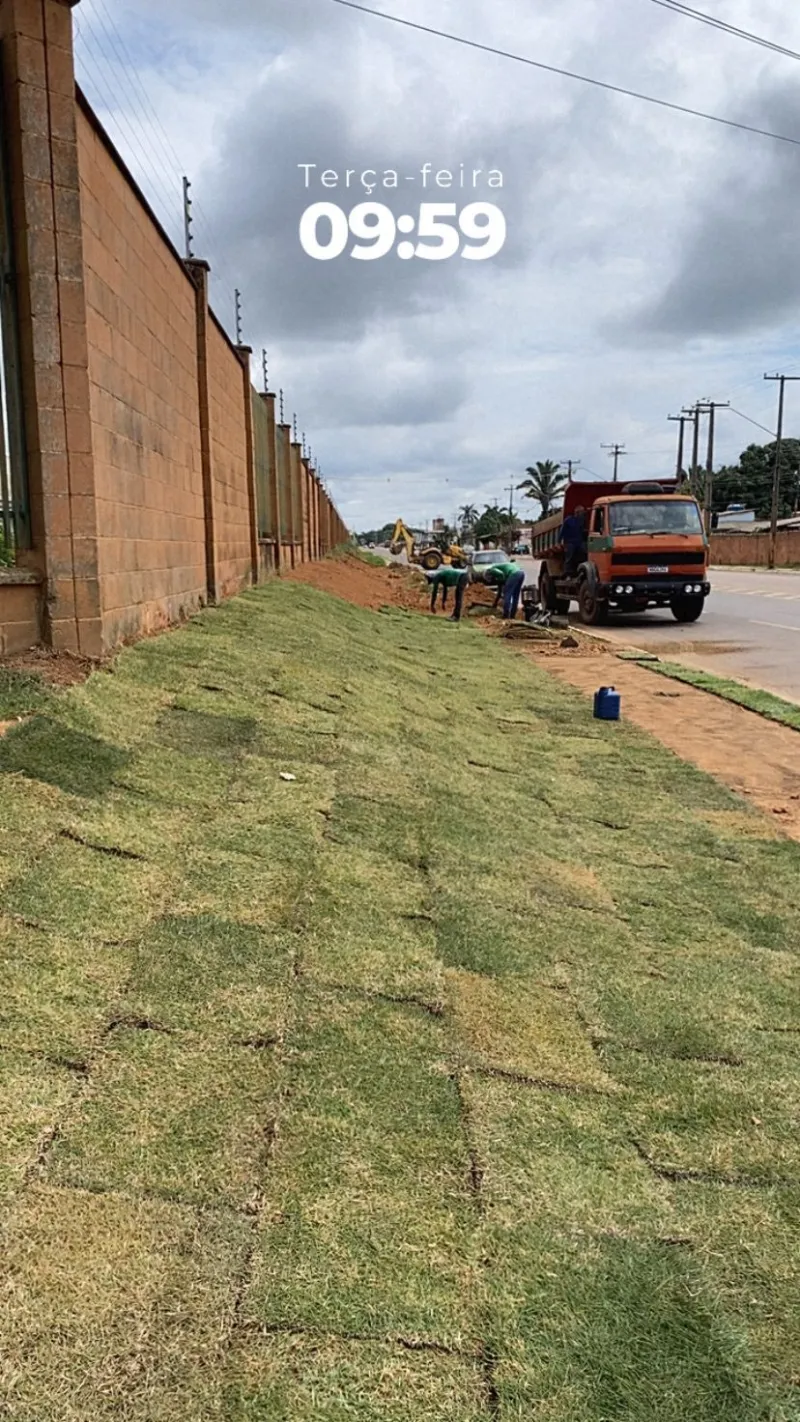 Tapete de grama natural para jardim