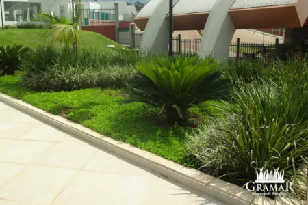 Ilustração da GRAMAR