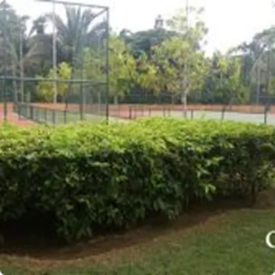 Ilustração da GRAMAR