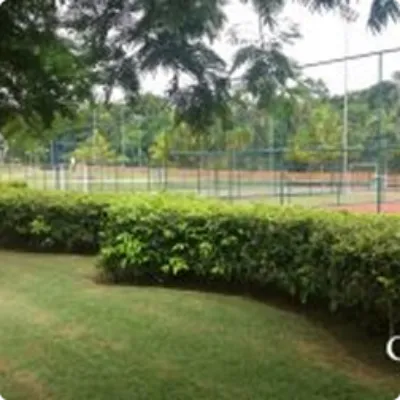 Ilustração da GRAMAR