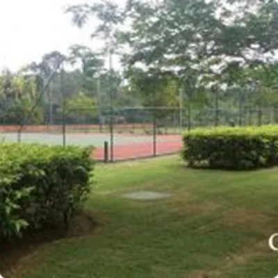 Ilustração da GRAMAR