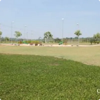 Ilustração da GRAMAR