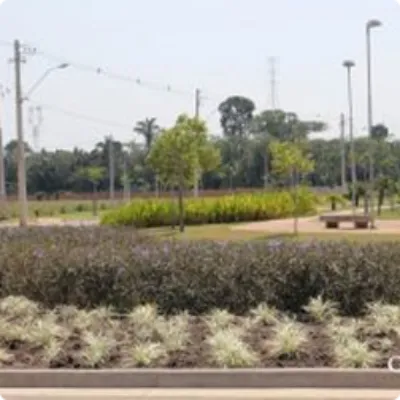 Ilustração da GRAMAR