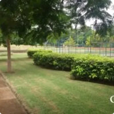 Ilustração da GRAMAR