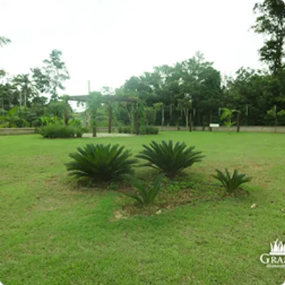 Ilustração da GRAMAR