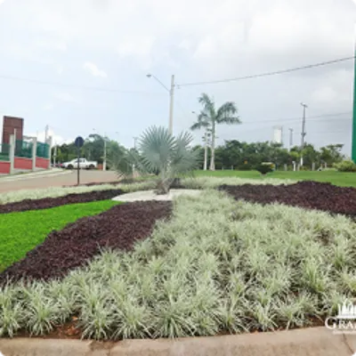 Ilustração da GRAMAR