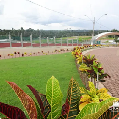 Ilustração da GRAMAR