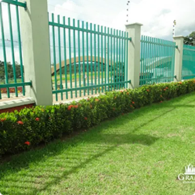 Ilustração da GRAMAR