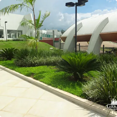 Ilustração da GRAMAR