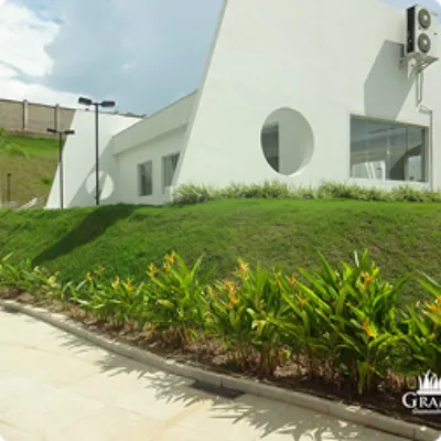 Ilustração da GRAMAR