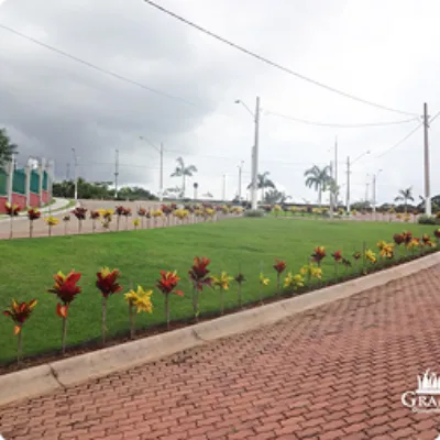 Ilustração da GRAMAR